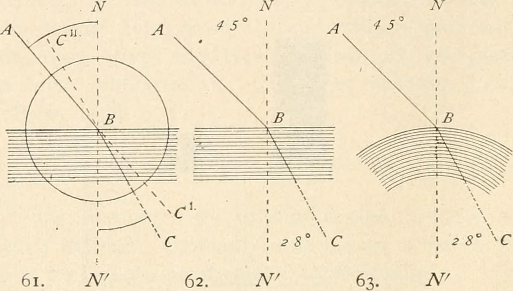 An illustration from The microscope : an introduction to microscopic methods and to histology, 1911, leaf 81
