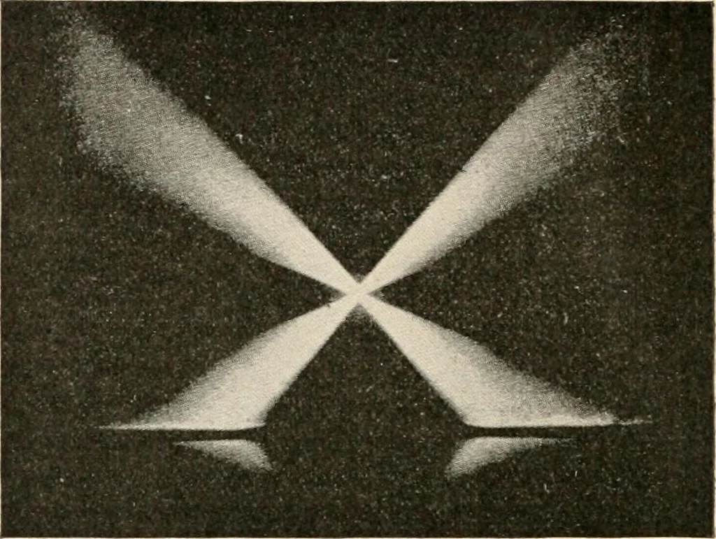 An illustration from The microscope : an introduction to microscopic methods and to histology, 1911, leaf 9