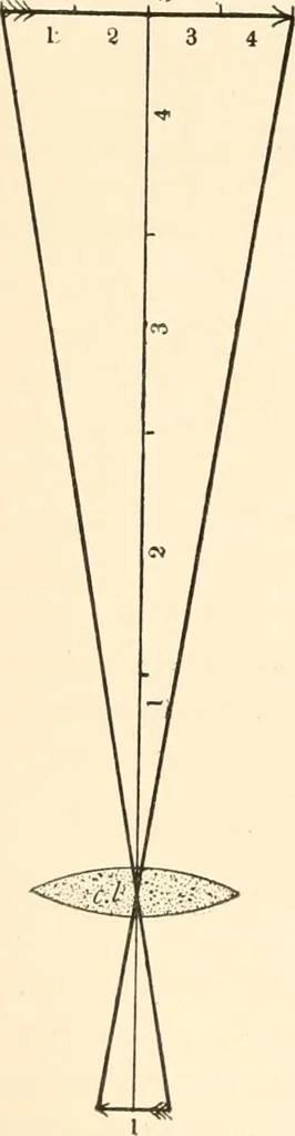 An illustration from The microscope; an introduction to microscopic methods and to histology, 1899, leaf 119