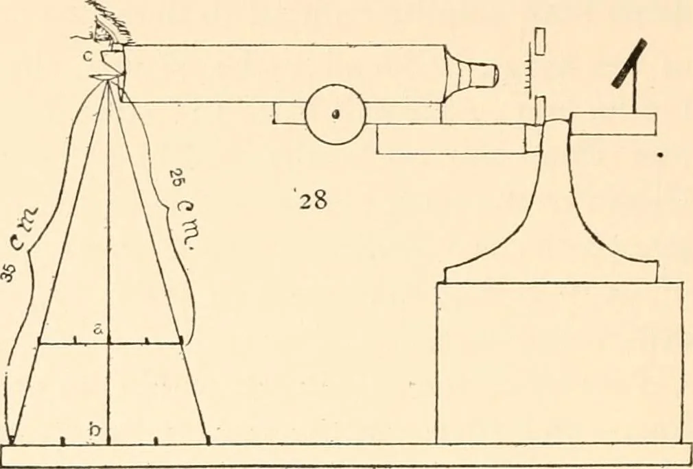 An illustration from The microscope; an introduction to microscopic methods and to histology, 1899, leaf 121