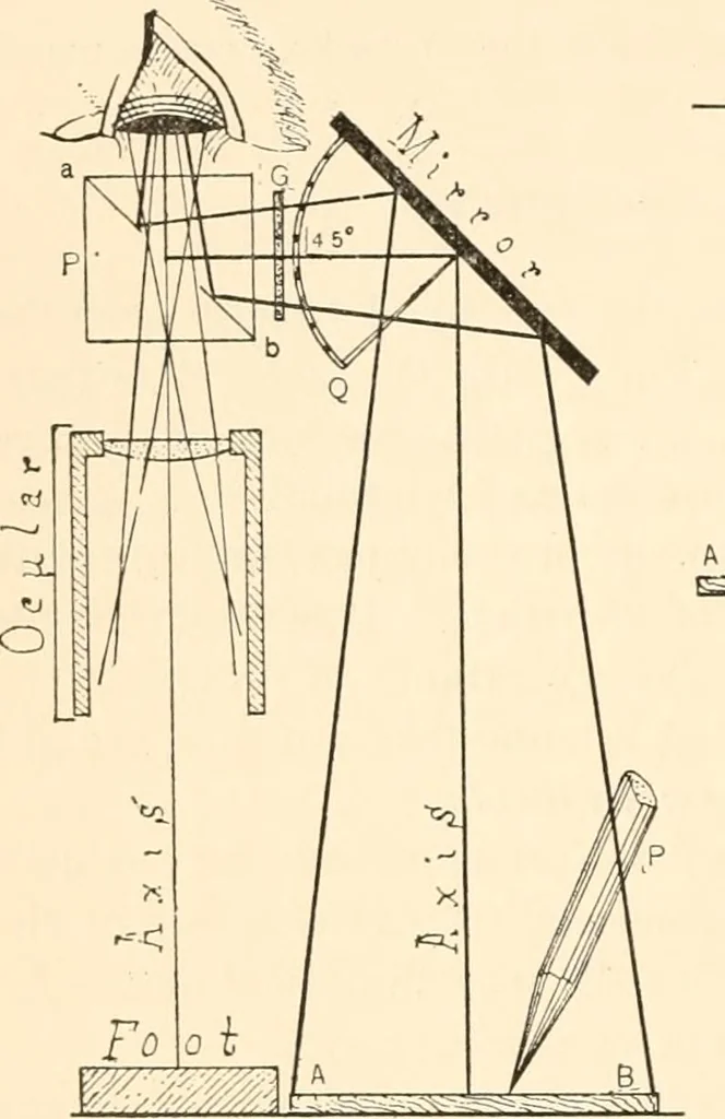 An illustration from The microscope; an introduction to microscopic methods and to histology, 1899, leaf 133