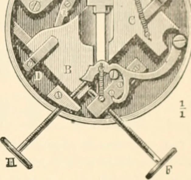 An illustration from The microscope; an introduction to microscopic methods and to histology, 1899, leaf 144