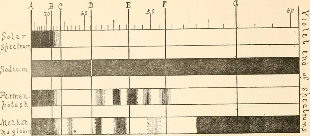 An illustration from The microscope; an introduction to microscopic methods and to histology, 1899, leaf 145
