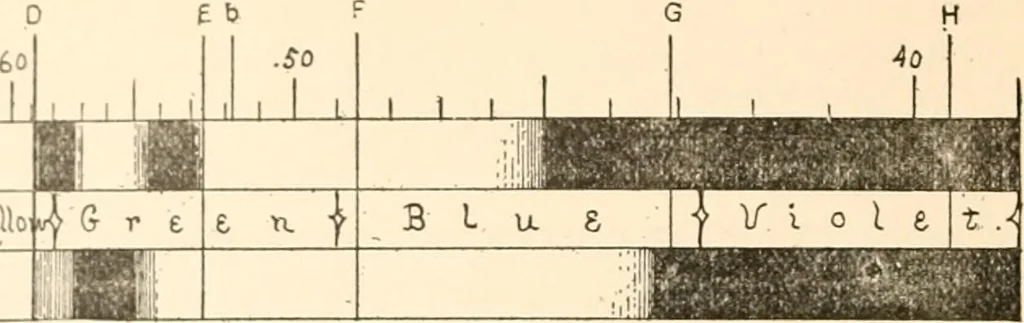 An illustration from The microscope; an introduction to microscopic methods and to histology, 1899, leaf 147