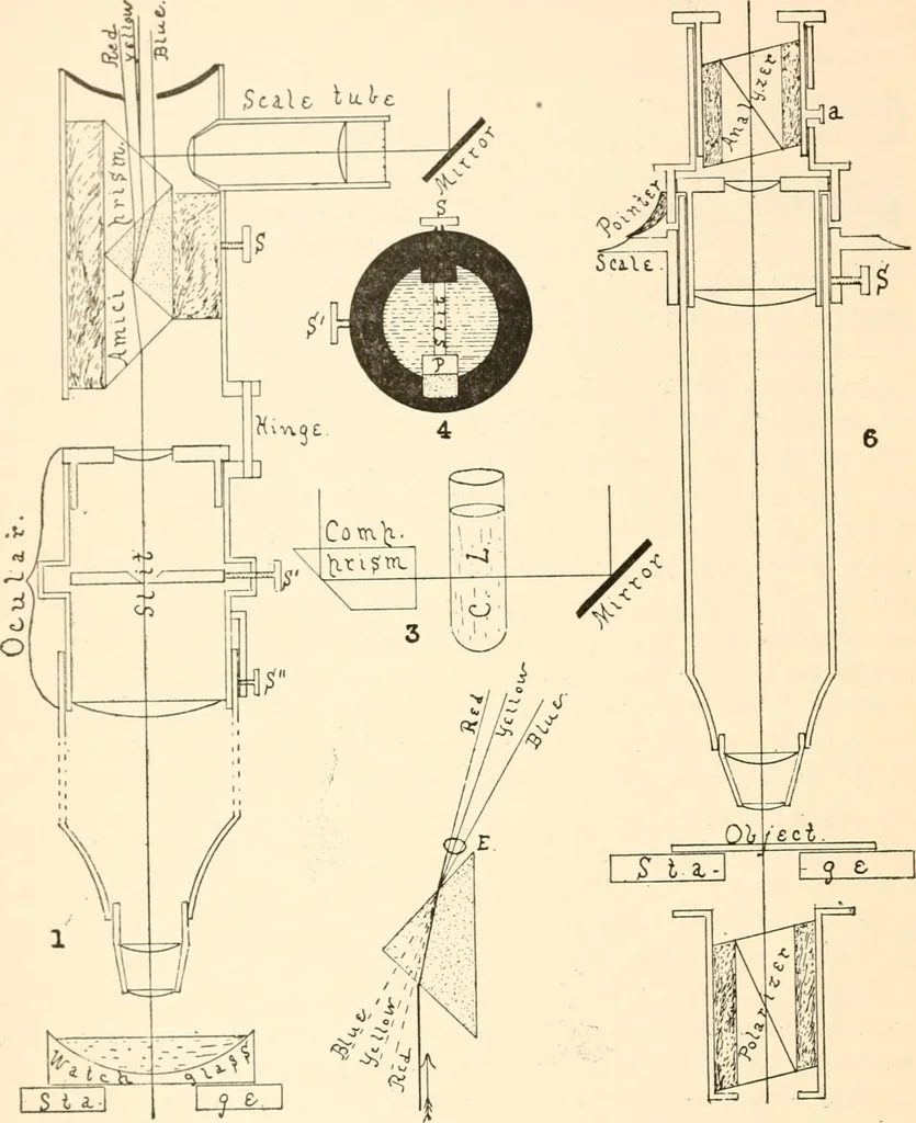 An illustration from The microscope; an introduction to microscopic methods and to histology, 1899, leaf 149