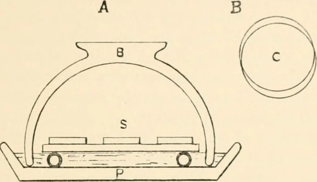 An illustration from The microscope; an introduction to microscopic methods and to histology, 1899, leaf 174