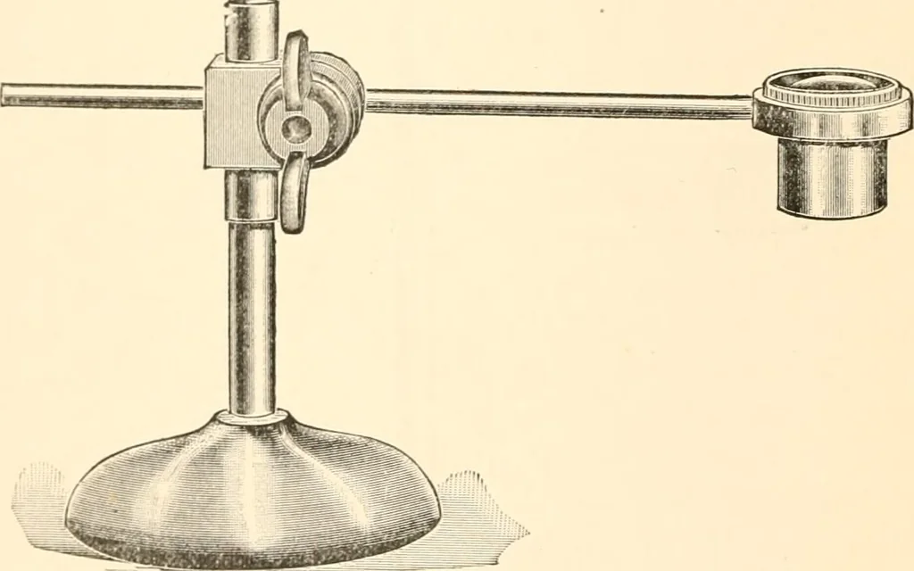 An illustration from The microscope; an introduction to microscopic methods and to histology, 1899, leaf 179
