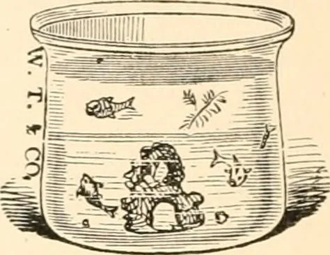 An illustration from The microscope; an introduction to microscopic methods and to histology, 1899, leaf 185