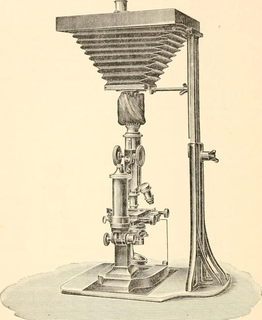 An illustration from The microscope; an introduction to microscopic methods and to histology, 1899, leaf 211