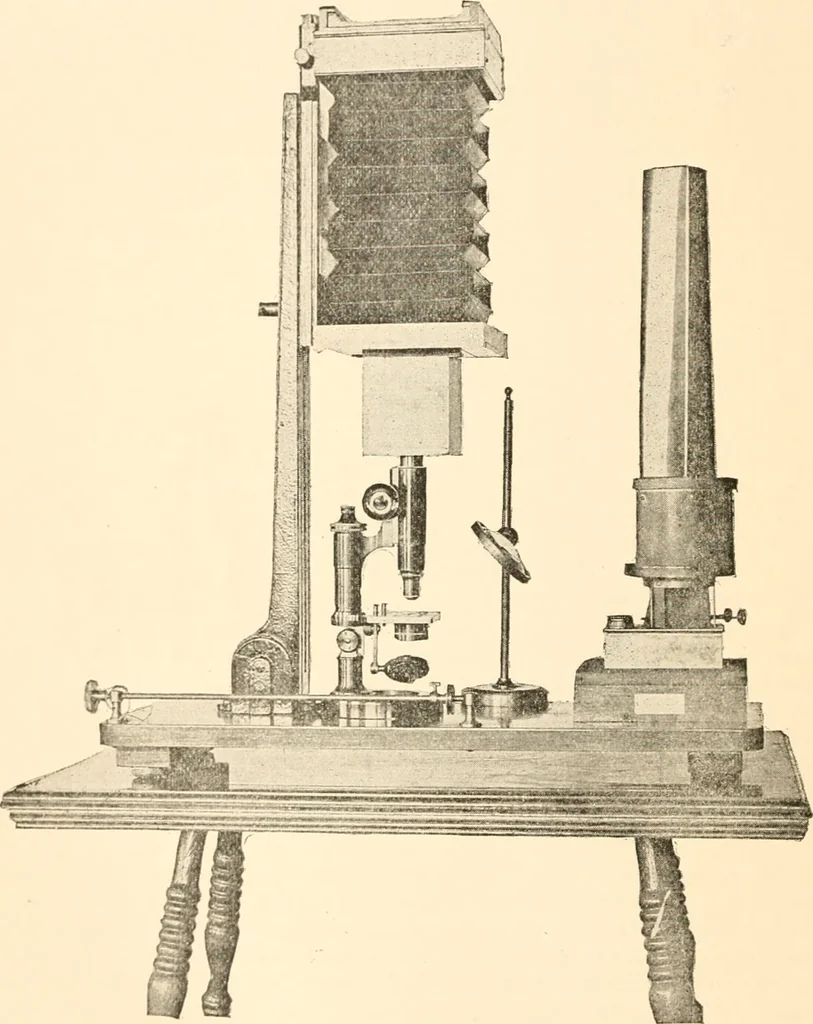 An illustration from The microscope; an introduction to microscopic methods and to histology, 1899, leaf 213