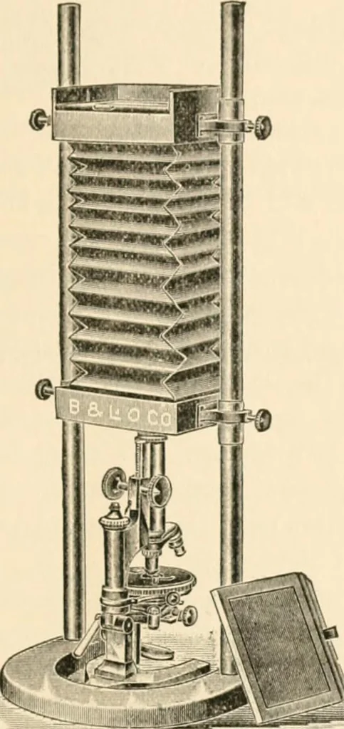 An illustration from The microscope; an introduction to microscopic methods and to histology, 1899, leaf 216
