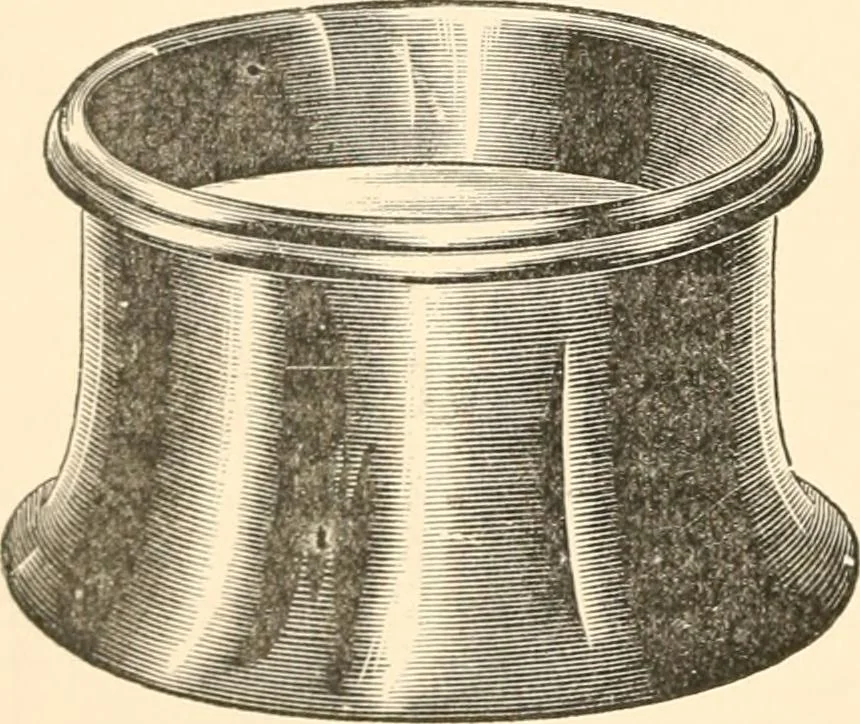 An illustration from The microscope; an introduction to microscopic methods and to histology, 1899, leaf 221