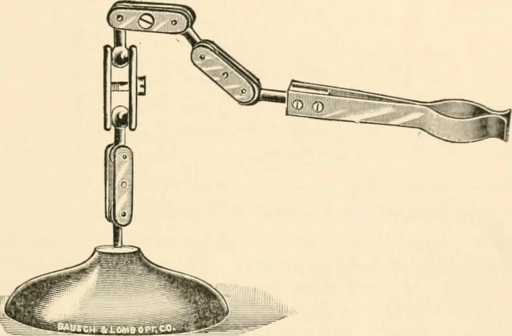 An illustration from The microscope; an introduction to microscopic methods and to histology, 1899, leaf 222