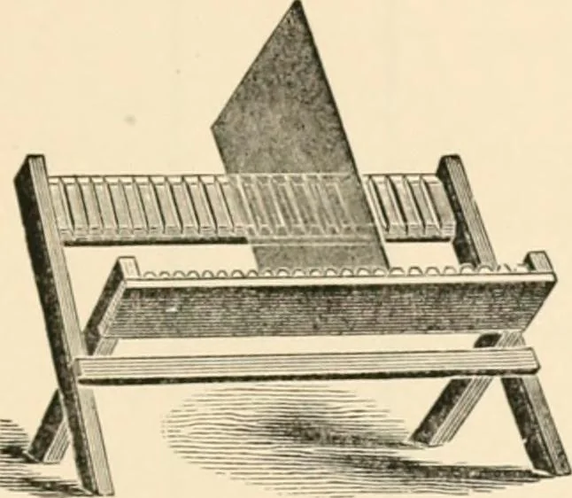 An illustration from The microscope; an introduction to microscopic methods and to histology, 1899, leaf 228