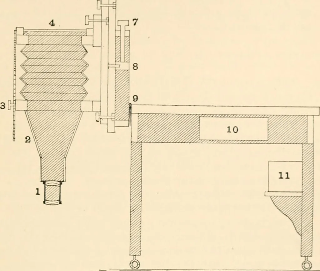 An illustration from The microscope; an introduction to microscopic methods and to histology, 1899, leaf 232
