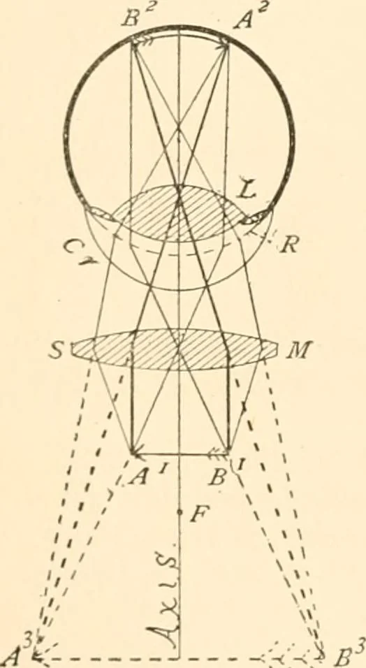 An illustration from The microscope; an introduction to microscopic methods and to histology, 1899, leaf 27