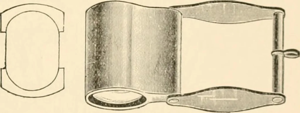 An illustration from The microscope; an introduction to microscopic methods and to histology, 1899, leaf 28