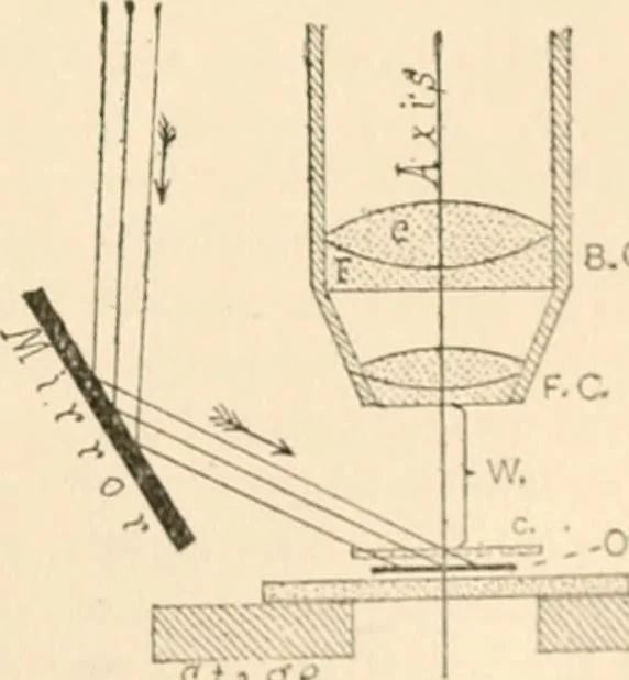 An illustration from The microscope; an introduction to microscopic methods and to histology, 1899, leaf 32