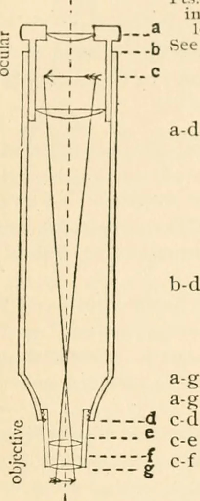 An illustration from The microscope; an introduction to microscopic methods and to histology, 1899, leaf 36