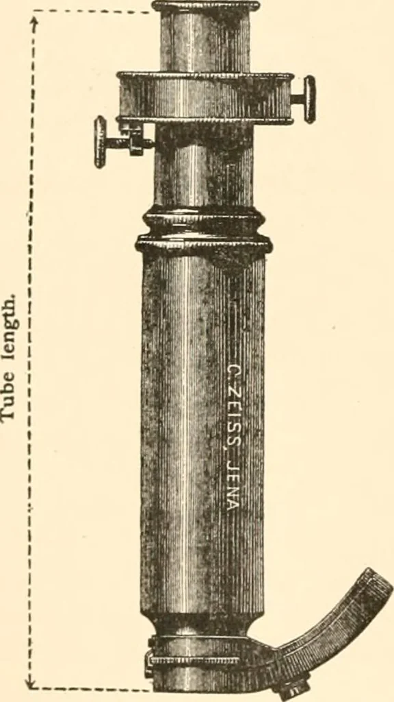 An illustration from The microscope; an introduction to microscopic methods and to histology, 1899, leaf 37