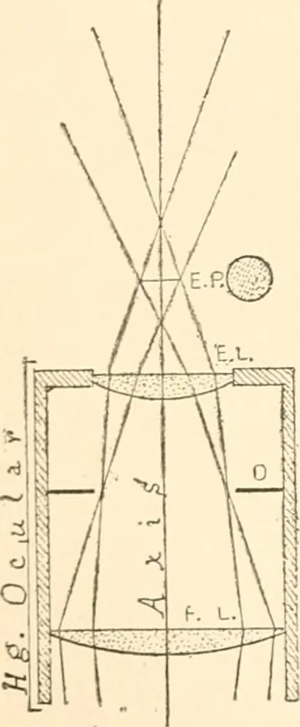 An illustration from The microscope; an introduction to microscopic methods and to histology, 1899, leaf 43