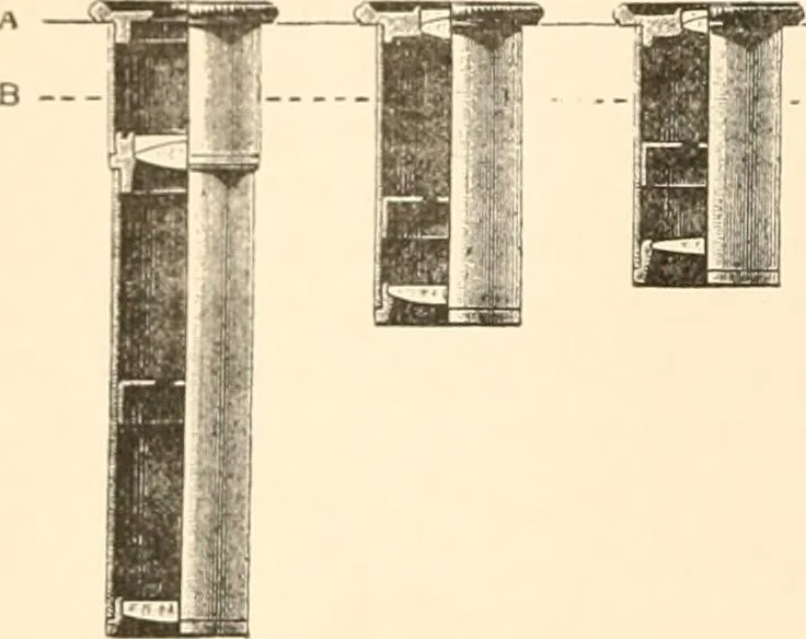 An illustration from The microscope; an introduction to microscopic methods and to histology, 1899, leaf 45