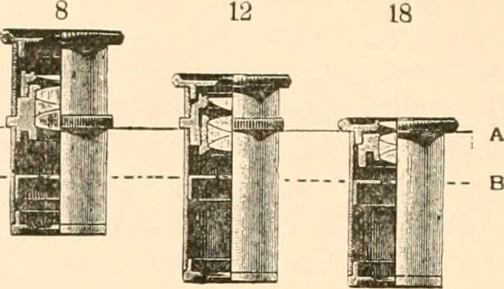 An illustration from The microscope; an introduction to microscopic methods and to histology, 1899, leaf 45