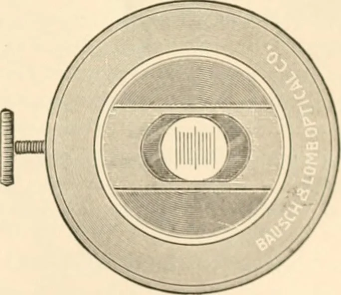 An illustration from The microscope; an introduction to microscopic methods and to histology, 1899, leaf 46