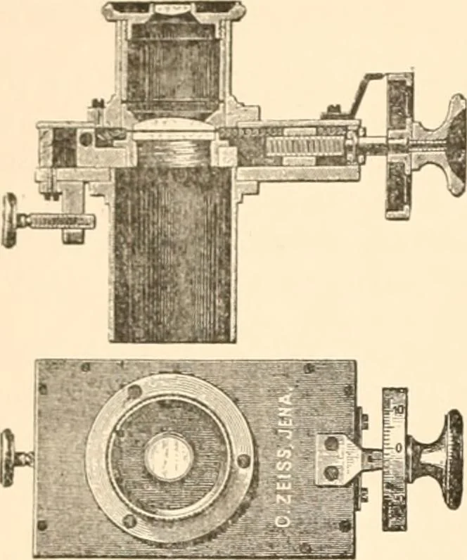 An illustration from The microscope; an introduction to microscopic methods and to histology, 1899, leaf 47
