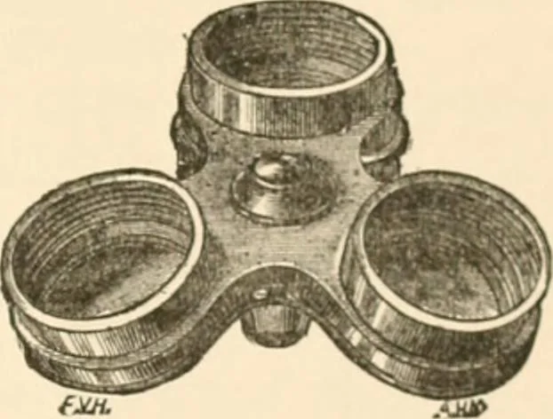 An illustration from The microscope; an introduction to microscopic methods and to histology, 1899, leaf 48