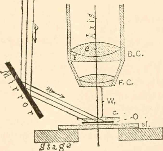 An illustration from The microscope; an introduction to microscopic methods and to histology, 1899, leaf 55