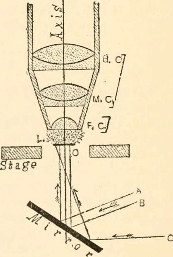 An illustration from The microscope; an introduction to microscopic methods and to histology, 1899, leaf 55