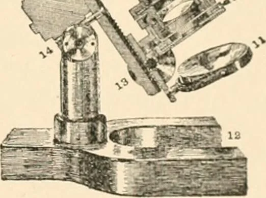 An illustration from The microscope; an introduction to microscopic methods and to histology, 1899, leaf 6