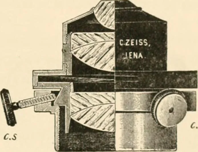 An illustration from The microscope; an introduction to microscopic methods and to histology, 1899, leaf 62