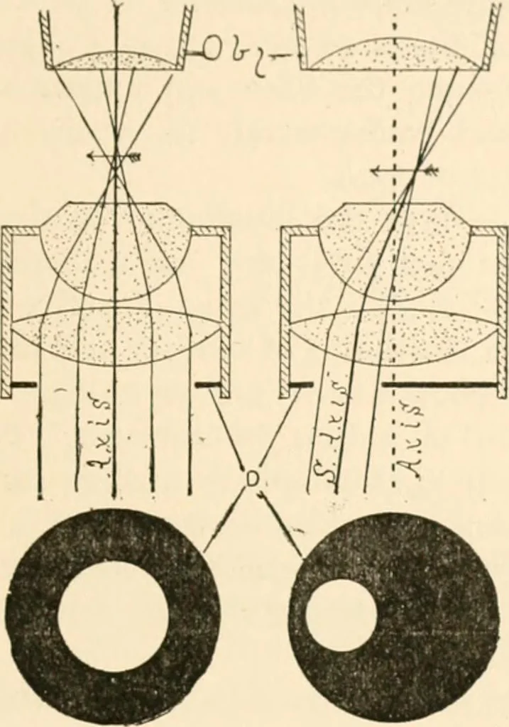 An illustration from The microscope; an introduction to microscopic methods and to histology, 1899, leaf 68