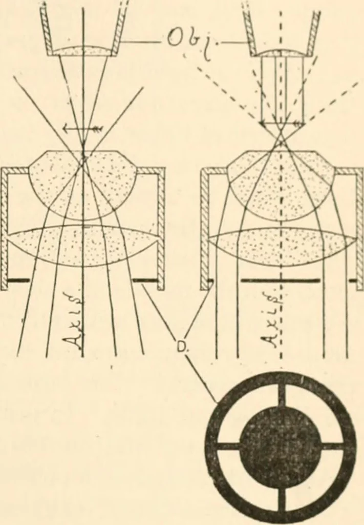 An illustration from The microscope; an introduction to microscopic methods and to histology, 1899, leaf 68