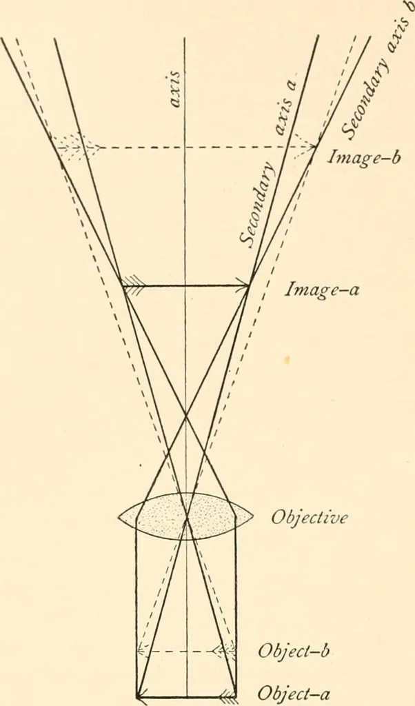 An illustration from The microscope; an introduction to microscopic methods and to histology, 1899, leaf 75
