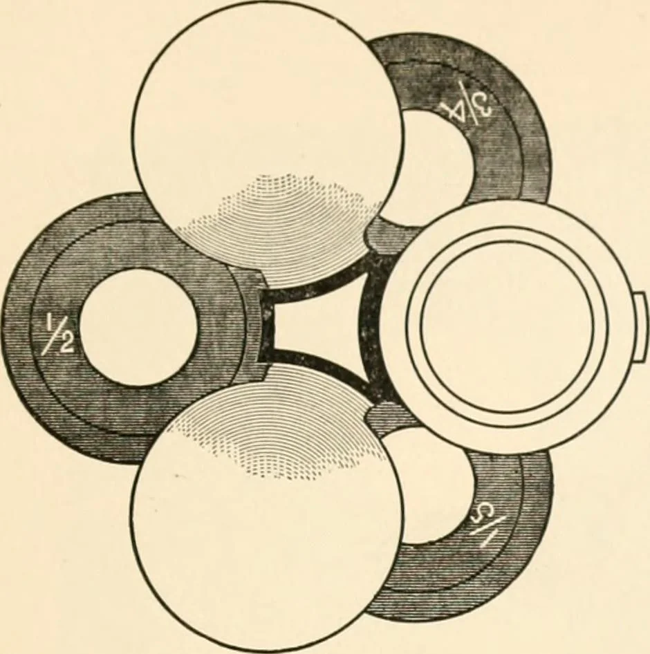 An illustration from The microscope; an introduction to microscopic methods and to histology, 1899, leaf 86