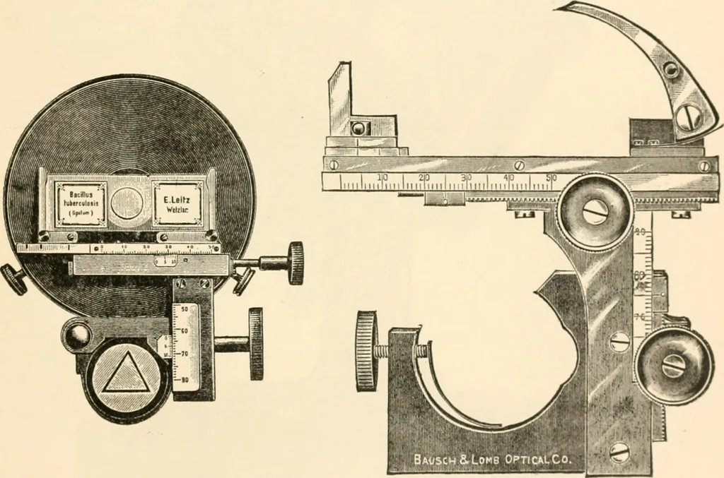 An illustration from The microscope; an introduction to microscopic methods and to histology, 1899, leaf 86