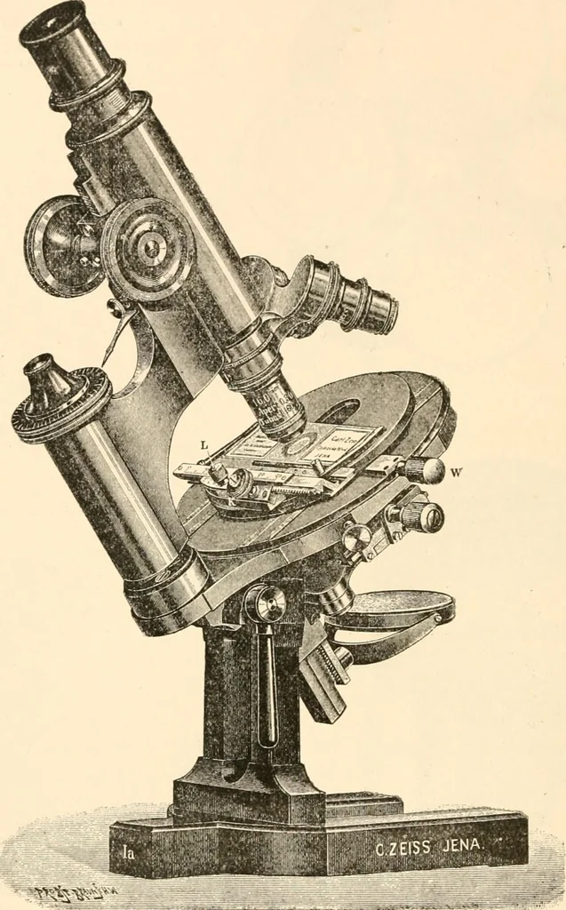An illustration from The microscope; an introduction to microscopic methods and to histology, 1899, leaf 87