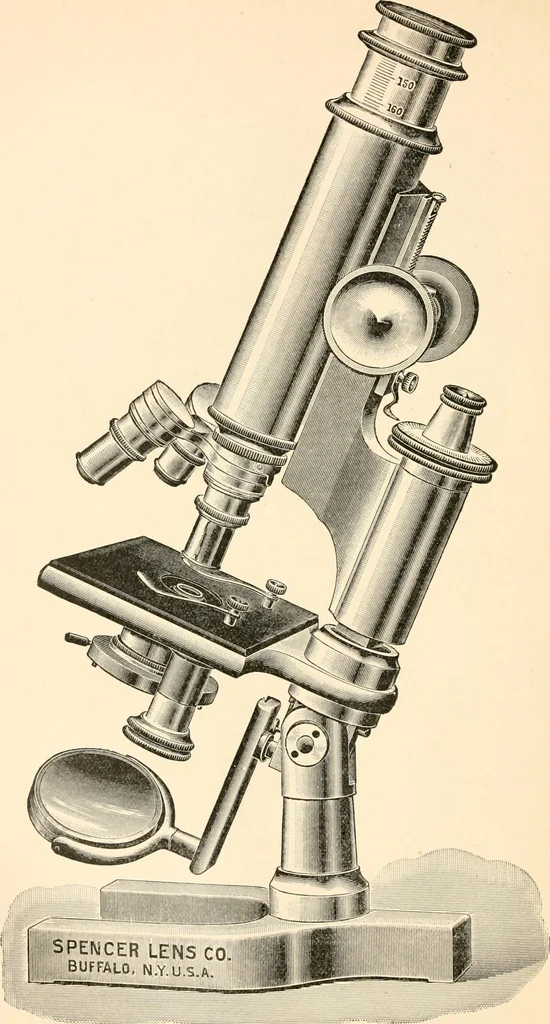 An illustration from The microscope; an introduction to microscopic methods and to histology, 1899, leaf 89