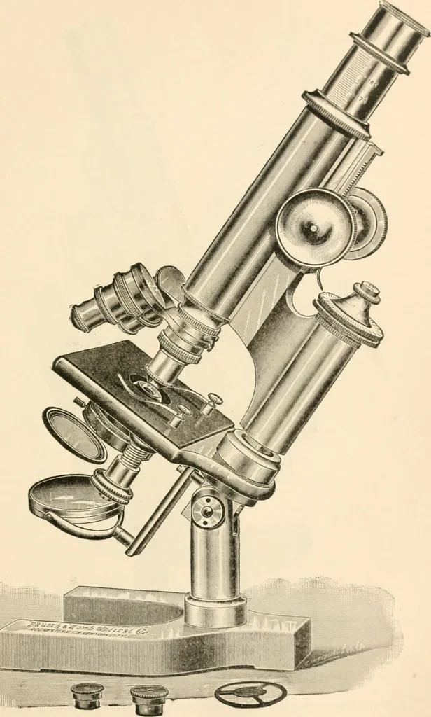 An illustration from The microscope; an introduction to microscopic methods and to histology, 1899, leaf 92