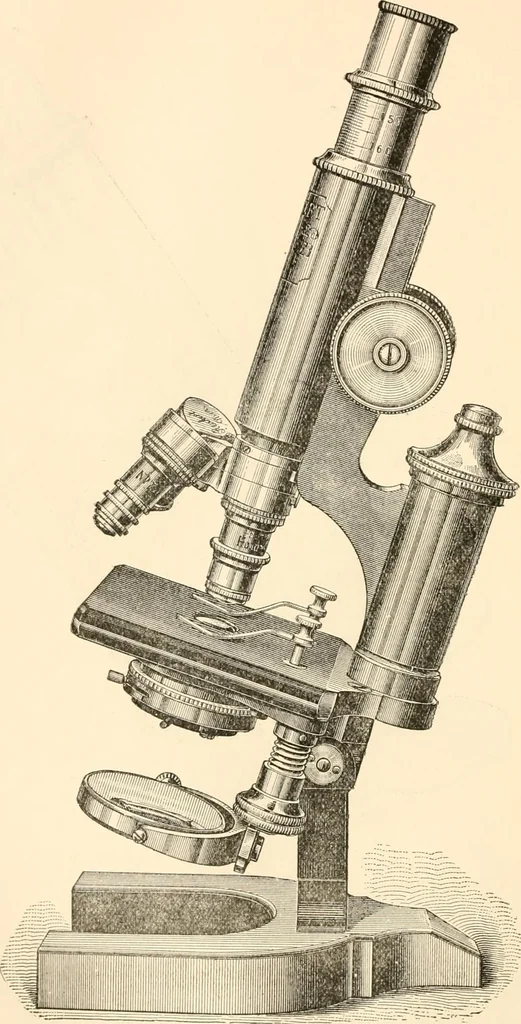 An illustration from The microscope; an introduction to microscopic methods and to histology, 1899, leaf 93