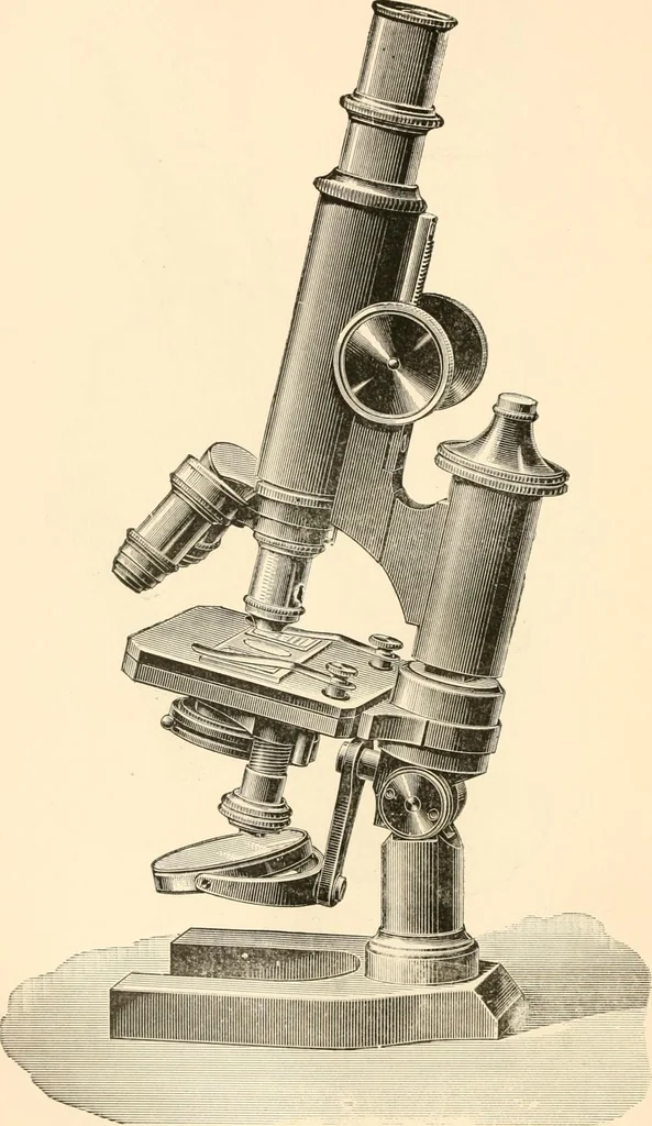 An illustration from The microscope; an introduction to microscopic methods and to histology, 1899, leaf 95
