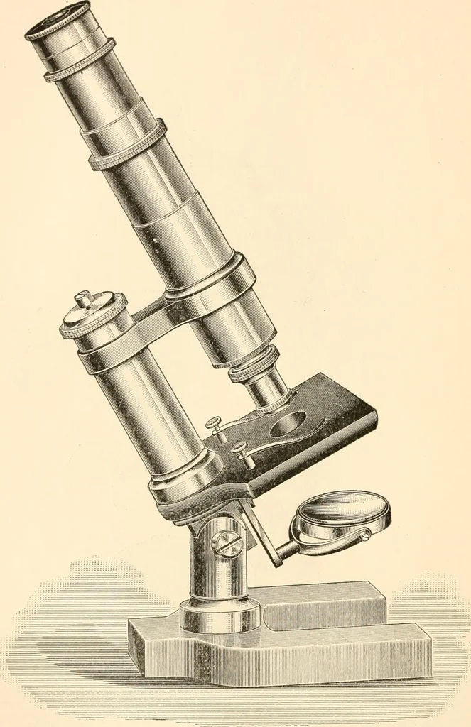 An illustration from The microscope; an introduction to microscopic methods and to histology, 1899, leaf 97