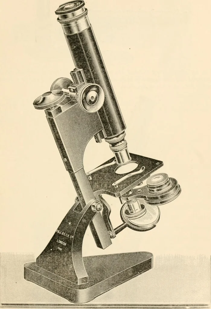 An illustration from The microscope; an introduction to microscopic methods and to histology, 1899, leaf 98