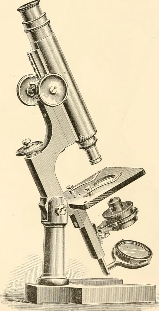 An illustration from The microscope; an introduction to microscopic methods and to histology, 1899, leaf 99