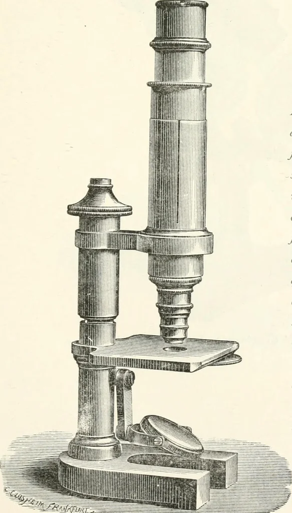 An illustration from The microscope : an introduction to microscopic methods and to histology, 1911, leaf 100