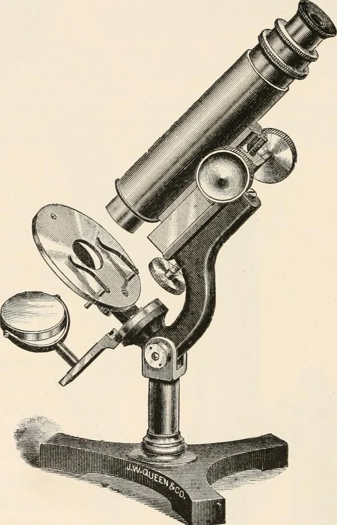 An illustration from The microscope : an introduction to microscopic methods and to histology, 1911, leaf 101