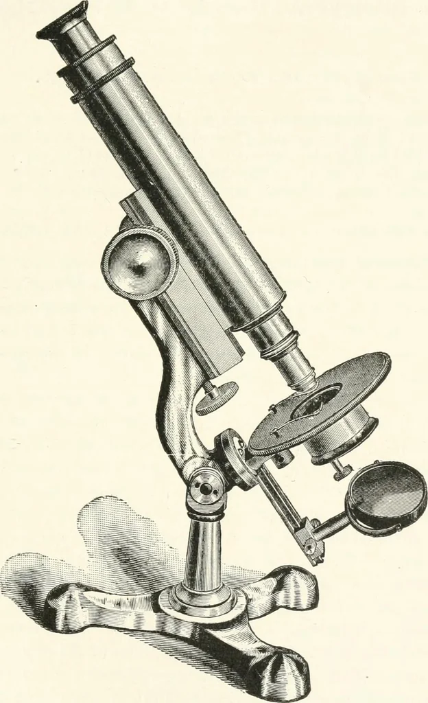 An illustration from The microscope : an introduction to microscopic methods and to histology, 1911, leaf 102